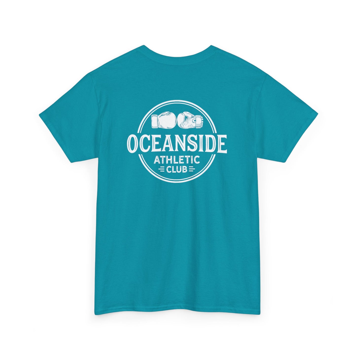 RSB Unisex Heavy Cotton Tee