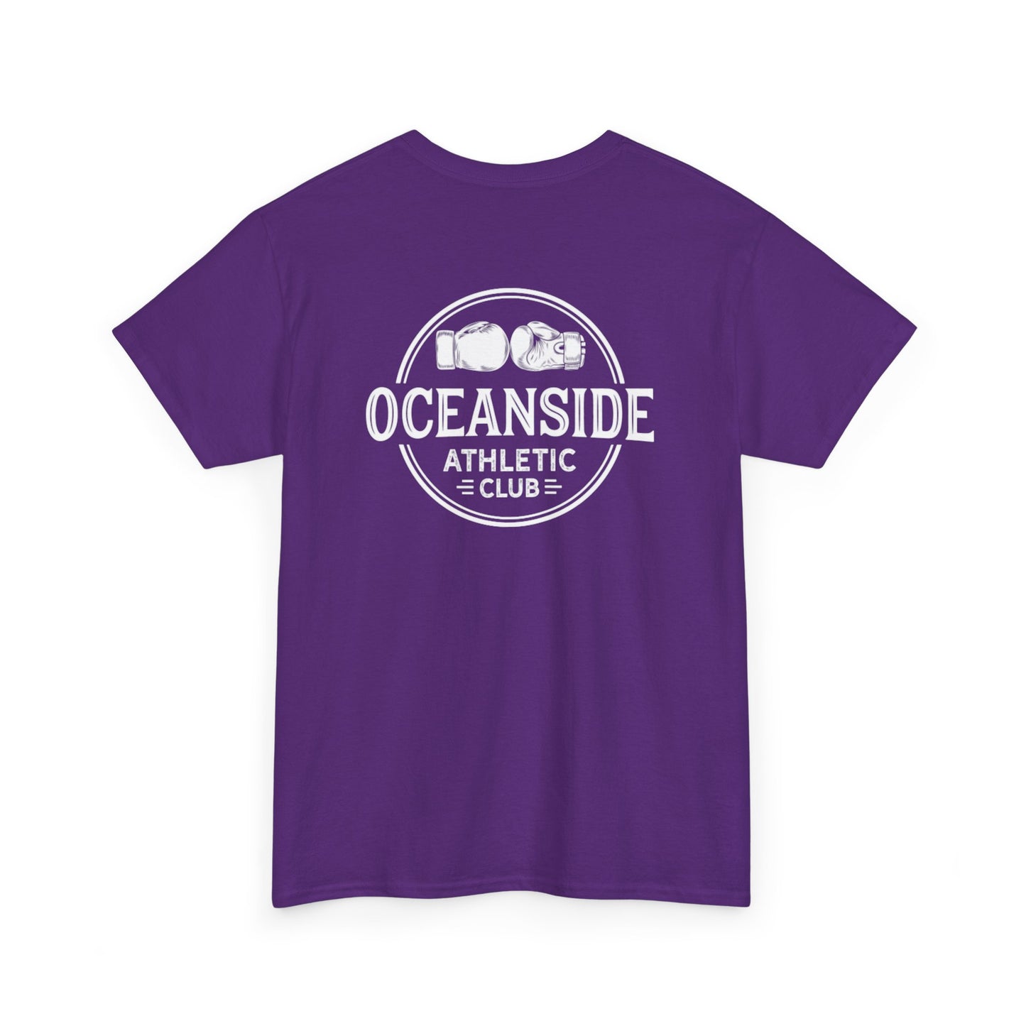 RSB Unisex Heavy Cotton Tee